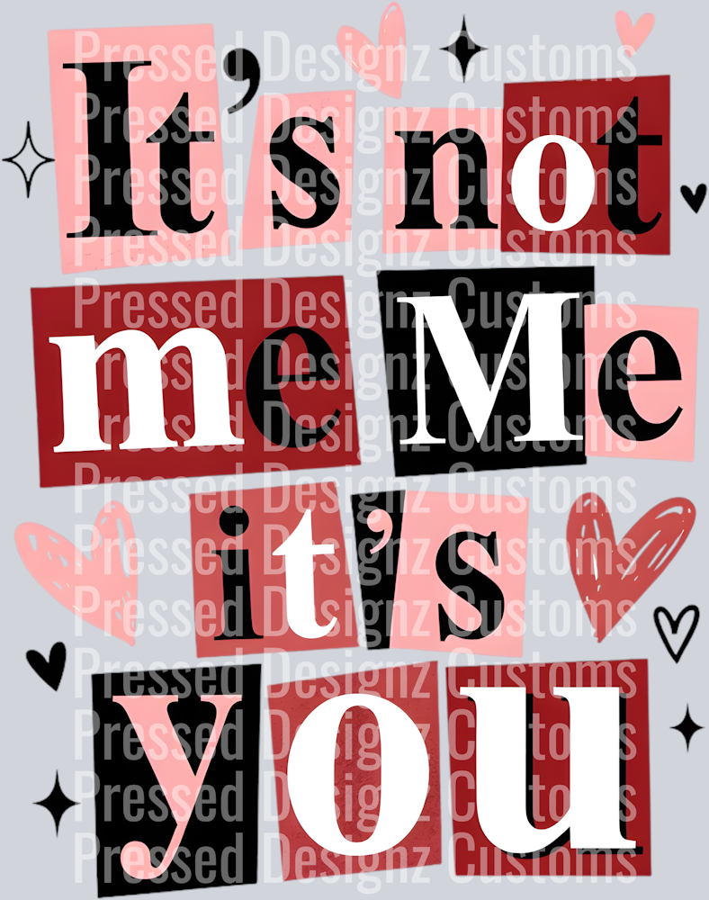 Funny Valentine_s Day It_s Not Me It_s You